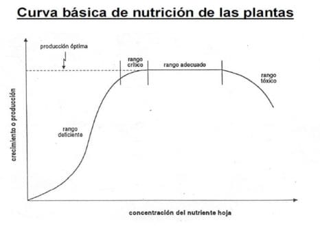curva nutricion