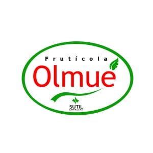 Logo Olmue RN scaled