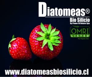 Diatomeas Biosilicio 600 500 (1)